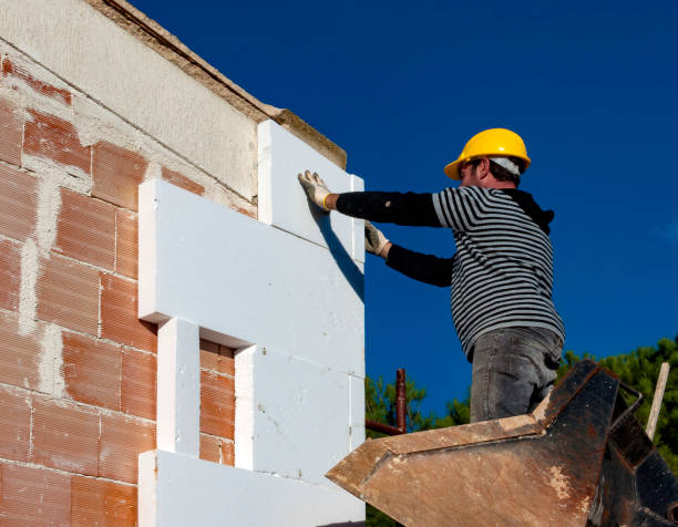 Best Cellulose Insulation in Mount Vernon, WA
