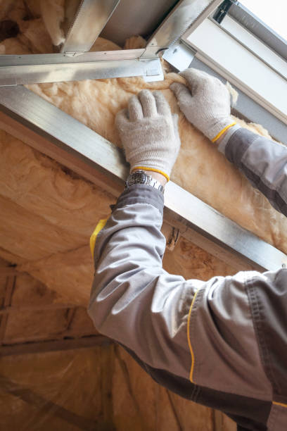 Best Eco-Friendly Insulation in Mount Vernon, WA