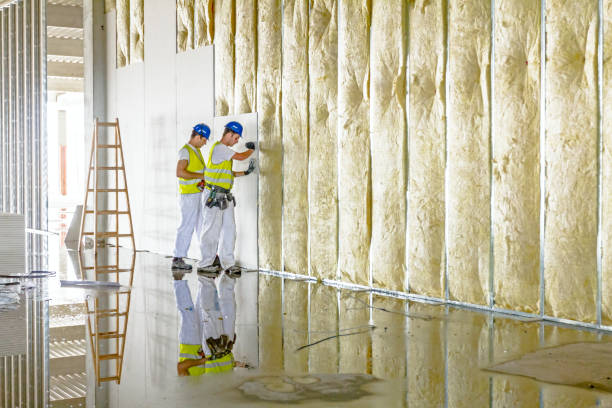 Trusted Mount Vernon, WA Insulation Contractor Experts